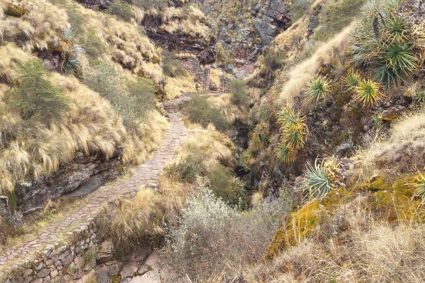 Do Peabiru à Trilha Inca, caminhos que conectam as unidades de ...