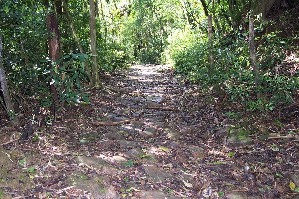 O Caminho do Peabirú e a busca pelo “El Dorado” | Blog do City ...